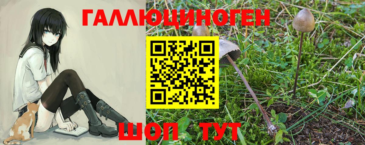 Галлюциногенные грибы мицелий Лангепас